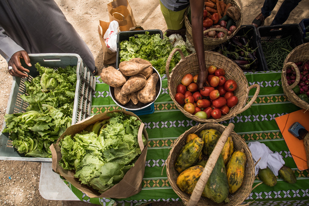 Escolha de alimentos para famílias