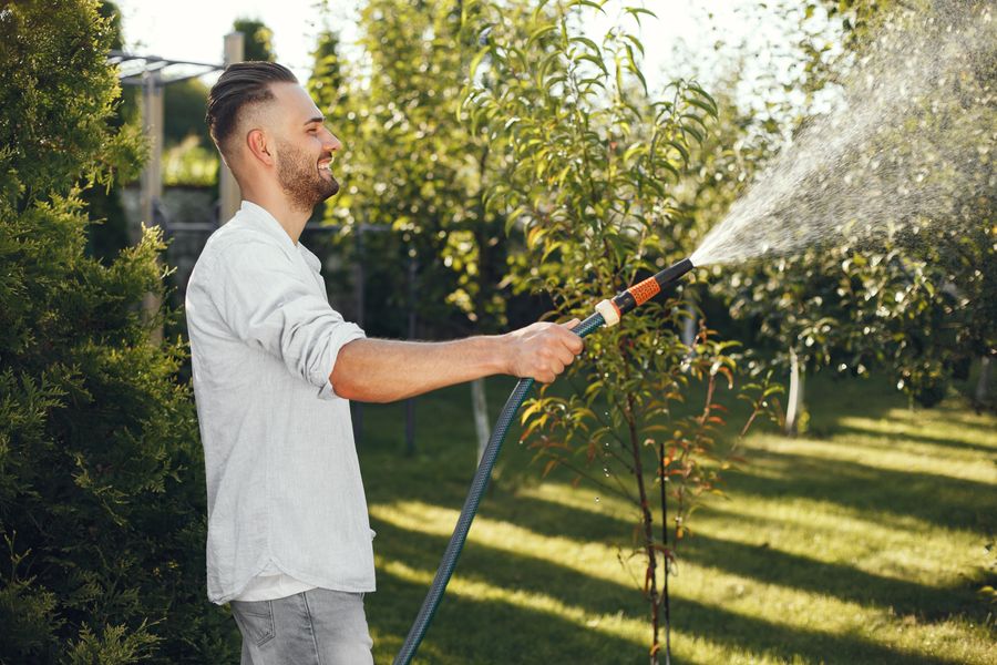 Homem regando plantas em uma horta verdejante