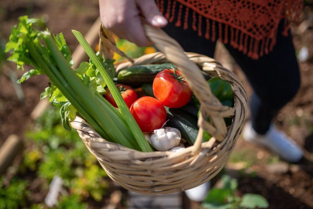 Cesta de vime cheia de legumes e verduras frescas sendo carregada
